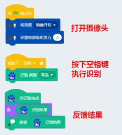 人工智能插件應用 賦能大腦識別與軟件開發新紀元